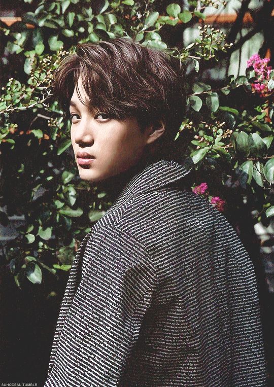 kpop_comedy's tweet photo. Happy birthday kai #HappyKAIDay #happyjonginday https://t.co/tW69v6HdRH