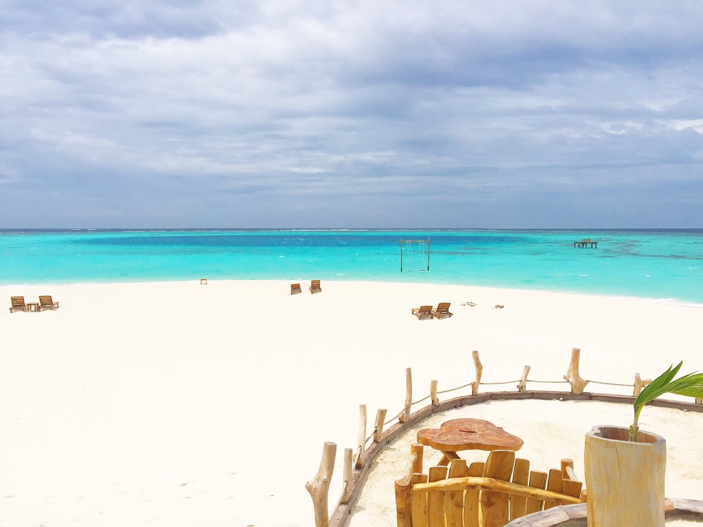 aaaVeeeParadise's tweet photo. Truly Authentic Maldivian Retreat for your dream holiday 
#aaaVeee 🎈
#NaturesParadise 
#Maldives
https://t.co/3YfAWhonqv 💚💙🇲🇻 https://t.co/KTZrVDbTmU