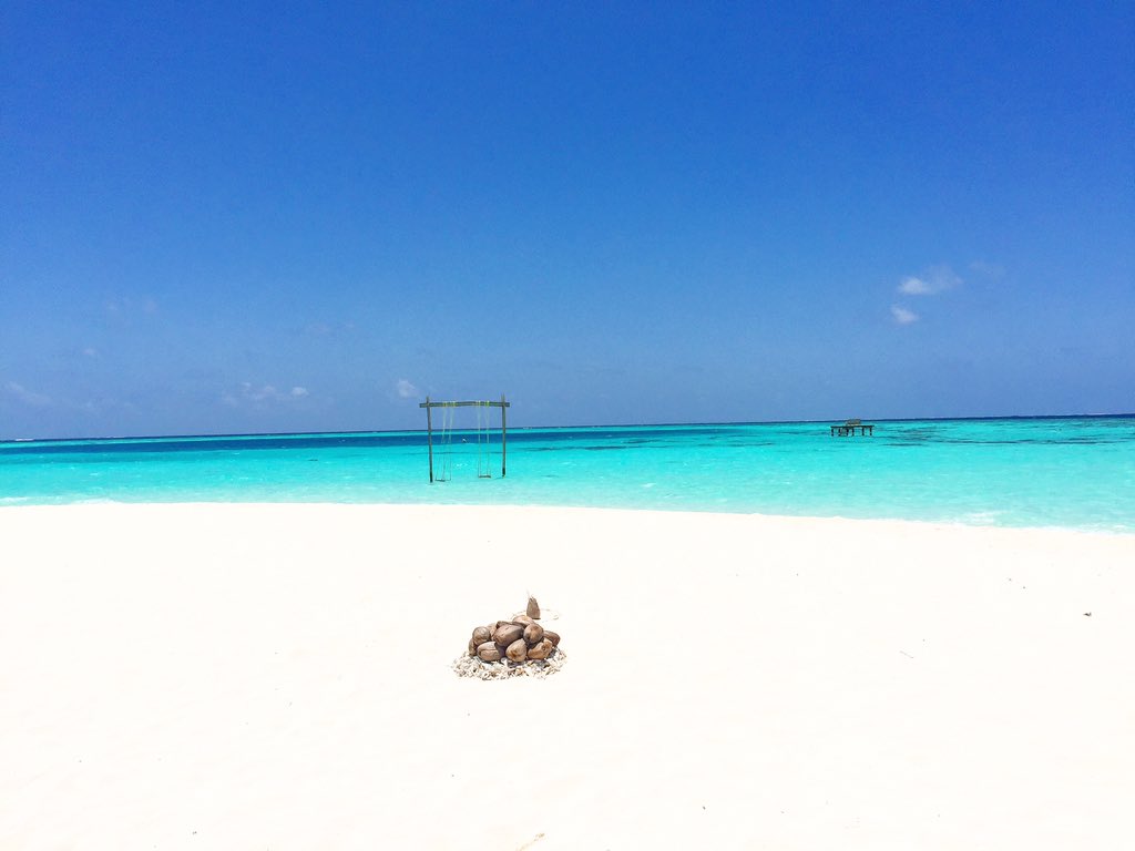 aaaVeeeParadise's tweet photo. Truly Authentic Maldivian Retreat for your dream holiday 
#aaaVeee 🎈
#NaturesParadise 
#Maldives
https://t.co/3YfAWhonqv 💚💙🇲🇻 https://t.co/KTZrVDbTmU