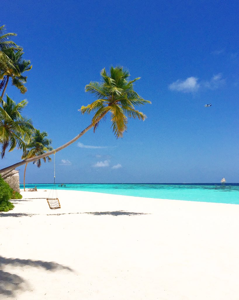 aaaVeeeParadise's tweet photo. Truly Authentic Maldivian Retreat for your dream holiday 
#aaaVeee 🎈
#NaturesParadise 
#Maldives
https://t.co/3YfAWhonqv 💚💙🇲🇻 https://t.co/KTZrVDbTmU