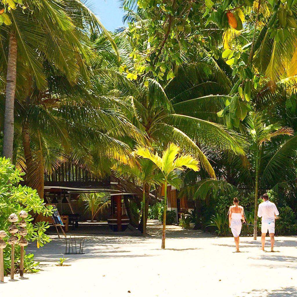 aaaVeeeParadise's tweet photo. Truly Authentic Maldivian Retreat for your dream holiday 
#aaaVeee 🎈
#NaturesParadise 
#Maldives
https://t.co/3YfAWhonqv 💚💙🇲🇻 https://t.co/KTZrVDbTmU