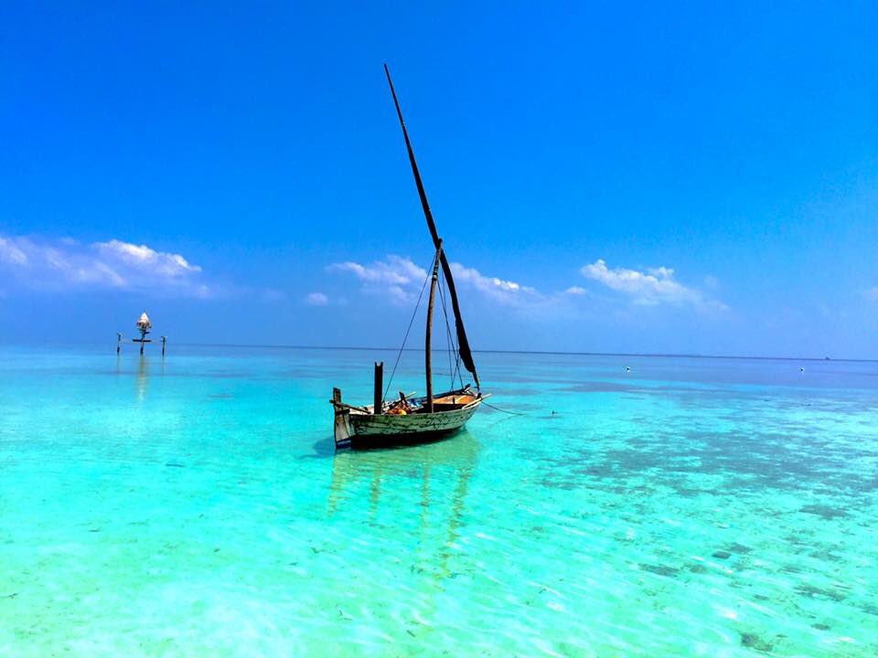 aaaVeeeParadise's tweet photo. Truly Authentic Maldivian Retreat for your dream holiday 
#aaaVeee 🎈
#NaturesParadise 
#Maldives
https://t.co/3YfAWhonqv 💚💙🇲🇻 https://t.co/krs2IqDlIB
