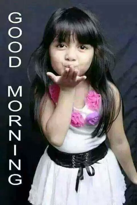 jishu_sd tweet picture