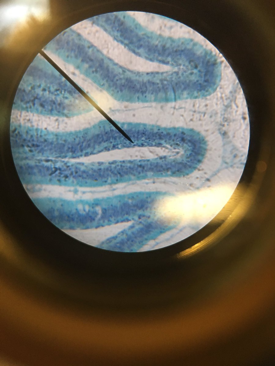 ami_young90606's tweet photo. #aglescience https://t.co/1tlsLmQXiC