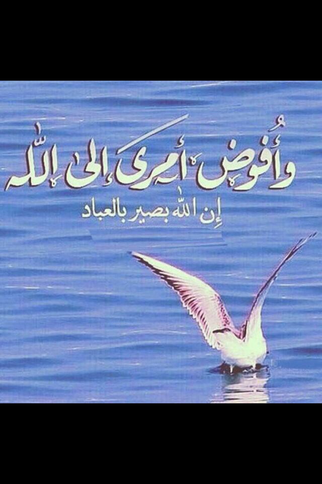 يا عالم الغيب والنيآت سبحانك
رحمتك خير من الدنيا وما فيها
.
اسـئـلك يا رب تـوفيقـك وغفـرانك
وسعادة .. ما تخيب قلب راجيها