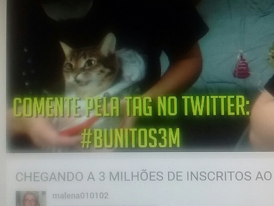 Sigilodobear's tweet photo. #3MdeBunitos

Olhaaaa gente https://t.co/8hgtQNzY9R