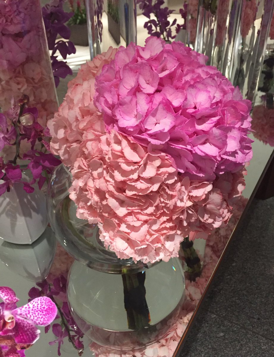 ErinFiden's tweet photo. Friday the 13th equals flowers in #miami #nofilter #prettyinpink @ConradMiami https://t.co/qHUJ3lu85a