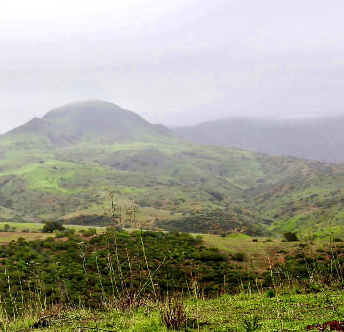 MCIWPendletonCA's tweet photo. All of this rain ☔️ has turned CampPen green! Have a safe weekend! #NoSnow #GreenMountains #BestWinter #CampPen75 https://t.co/MFvgMRphvM