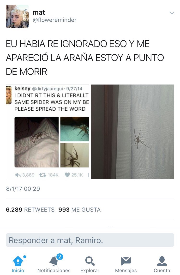 cande_ledantes's tweet photo. Perdonen si le doy rt a todas estas cosas pero el miedo me gana https://t.co/oRr38GDp9Z