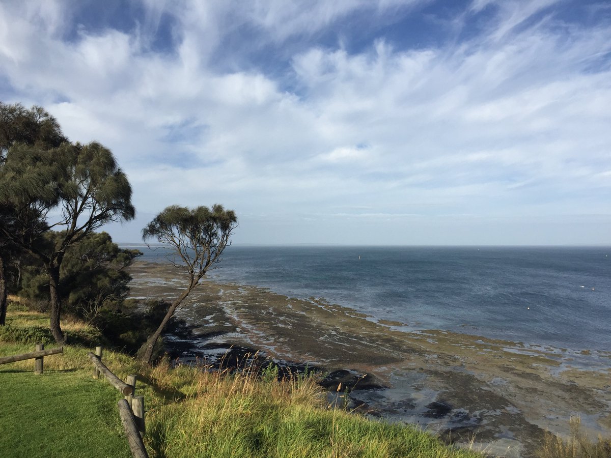 alisonlbare's tweet photo. Friday in Flinders pre-Handel https://t.co/YBrDtmpLF9