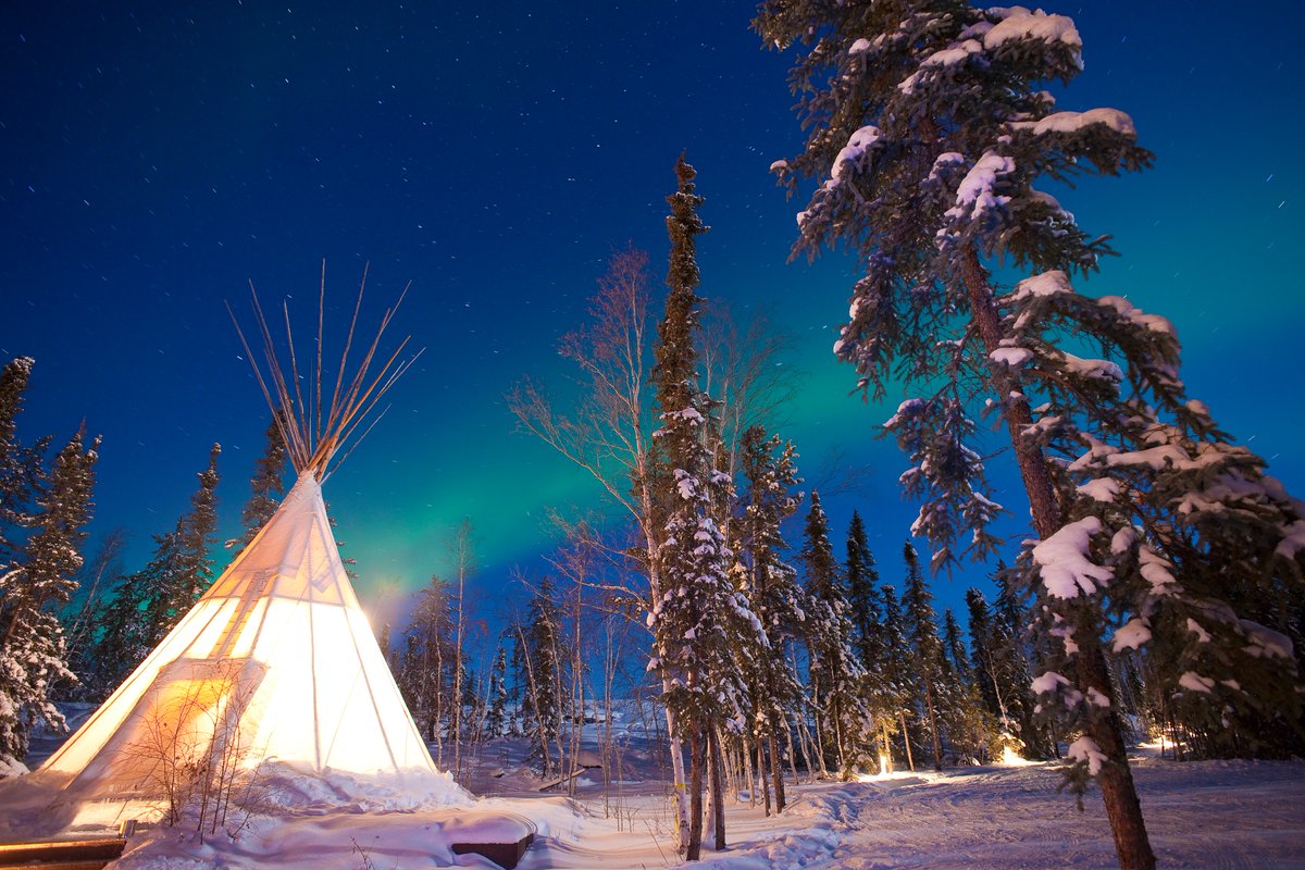 Spectacular NWT tweet media