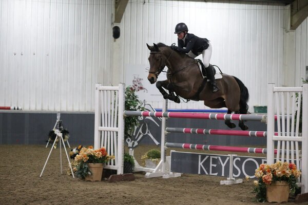 KatiePytches's tweet photo. Jolie Fleur, Emerald Butterfly &amp; Catoka pictures from Keysoe Premier! #StepUpToGold #BelvoirEquine https://t.co/UvRsiWv4uS