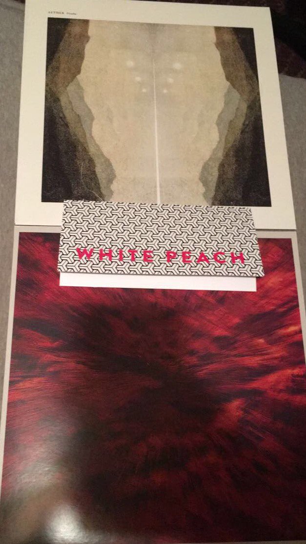 DelphiDubz's tweet image. Thanks @WhitePeachRec for the @FentPlates ☺