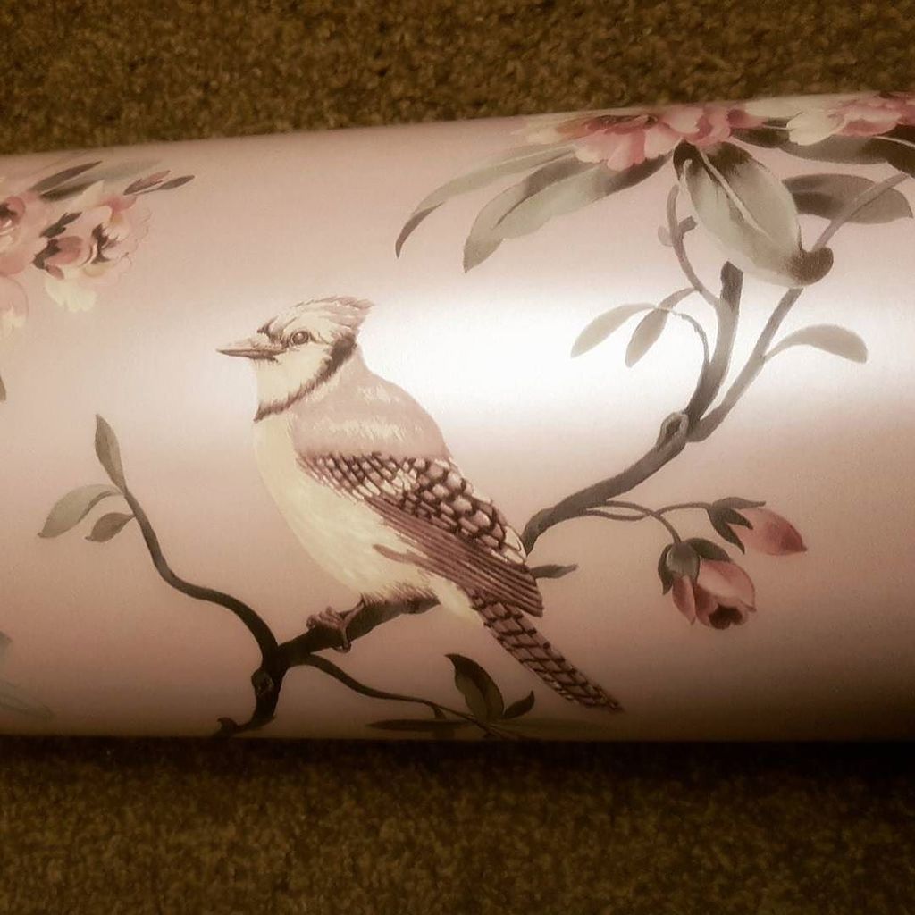 Heidnipper's tweet image. Child free night and I'm papering at midnight.  #wildlife #wheresmyslippers  #sendtea ift.tt/2iuhjcT