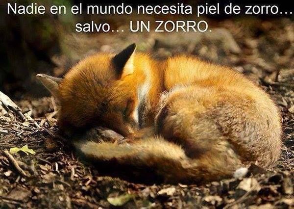 Ecogranjero tweet picture