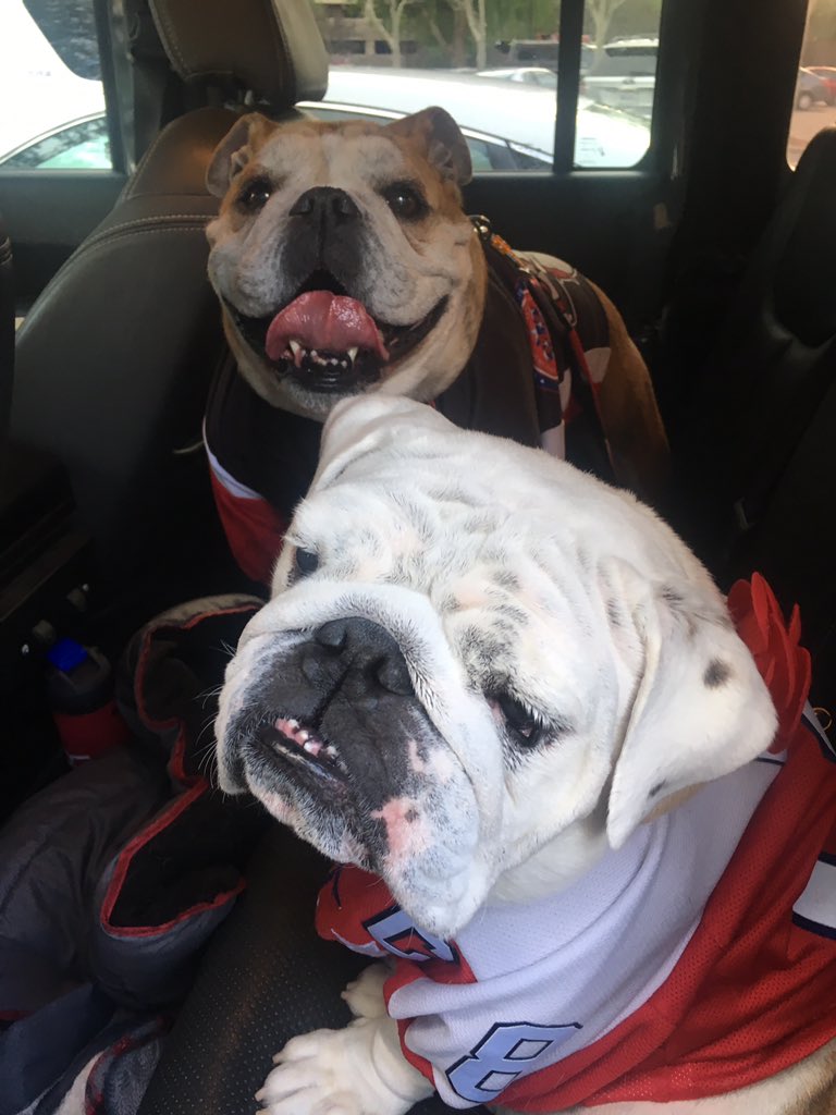 OvietheBulldog's tweet photo. IT'S HOCKEY O'CLOCK! #LetsGoCaps #CapsHawks #RockTheRed @SaffyBean &amp; me post #CapitalAllStars #SpecialHockey WIN @IceDogsSHW @NOVACoolCats 🚨 https://t.co/MIy87cvSM9