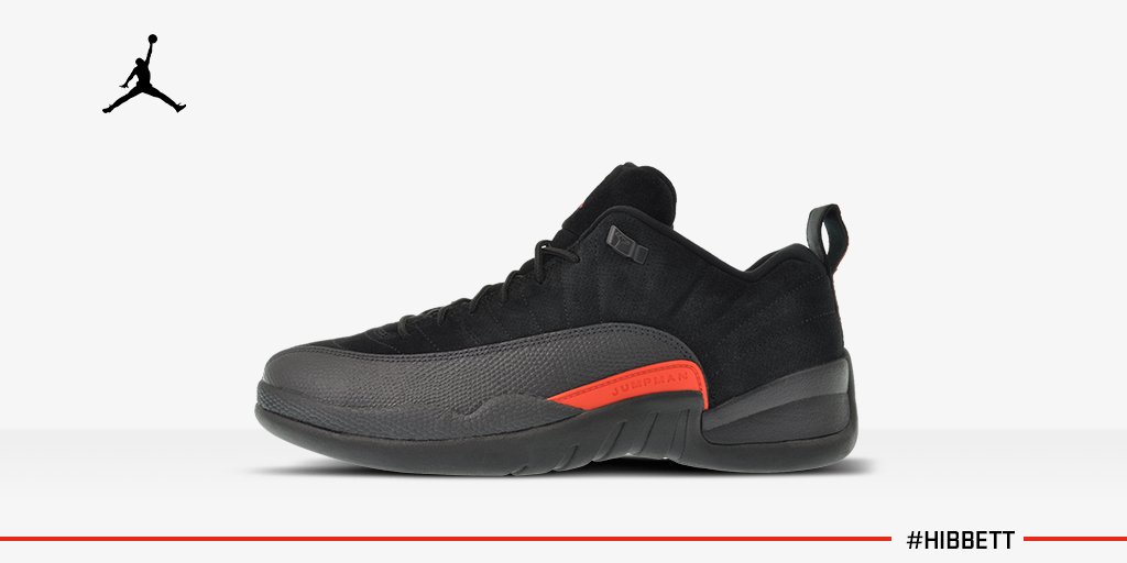 air jordan retro 12 hibbett sports