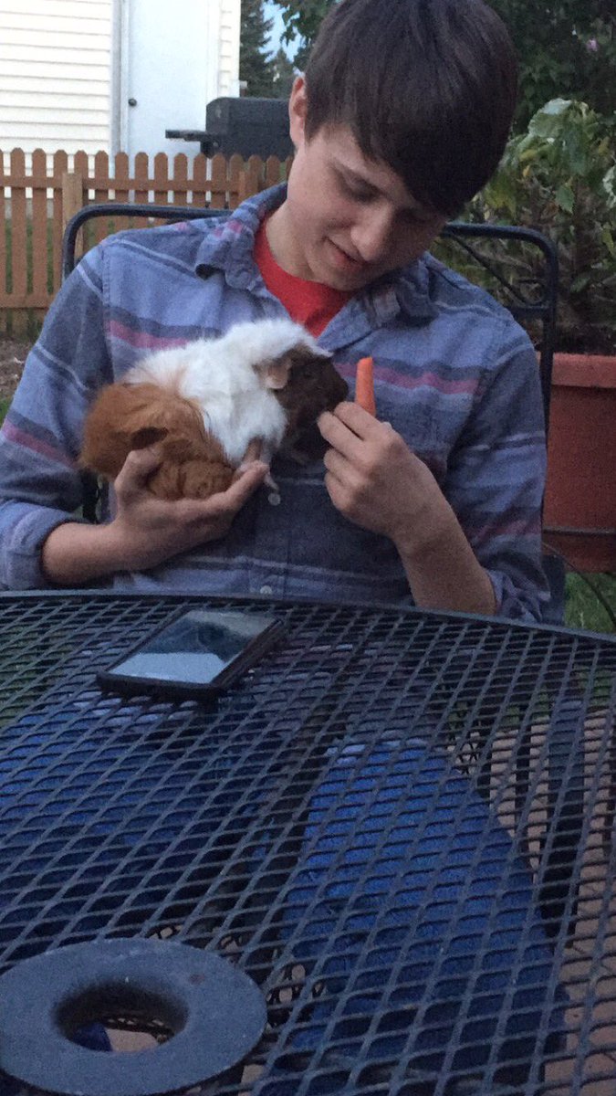 RachelJuliaSeiz's tweet photo. #carthageBOS This is my friend Kekoa holding Lysander. Have a great show! https://t.co/zNeghgLauV
