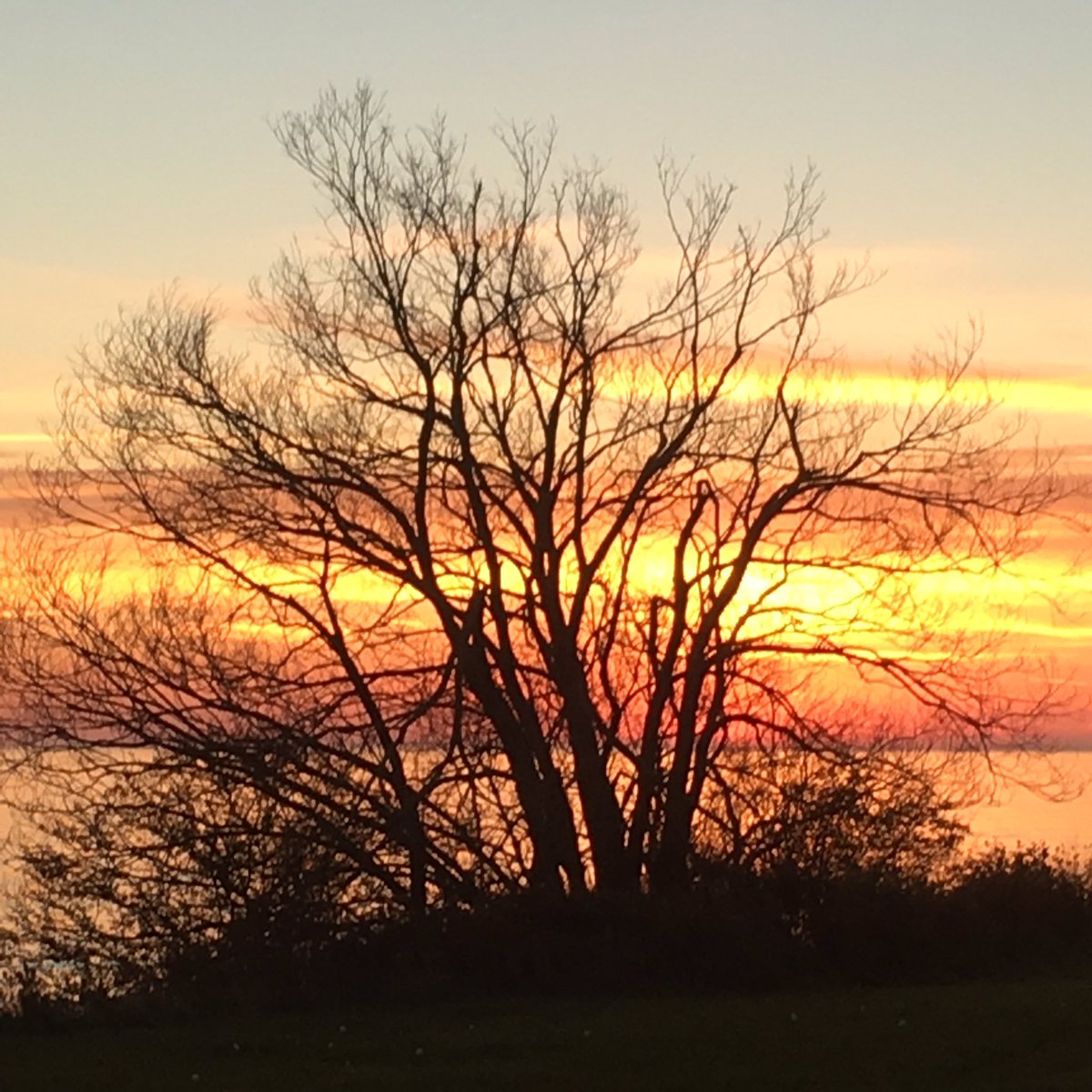 Slade2Rick's tweet image. Just relaxing