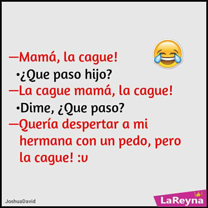 FoxPily's tweet photo. Me parto https://t.co/KVhaT0cZhl