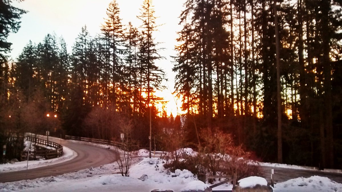 GeofferyKehrig's tweet photo. Before work this morning. #Sunrise #PortMoody #HadToTakeAPic https://t.co/zZ9Ut5uuQB