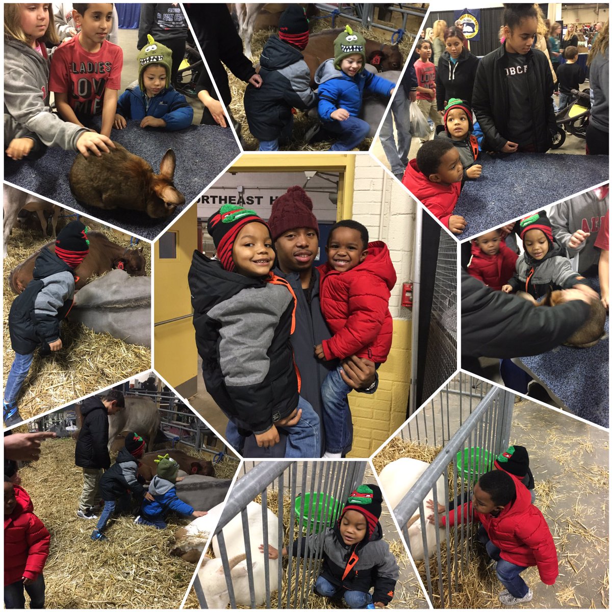 RocMarlee's tweet photo. #FarmShowFun 😍. 🐄🐎🐇🐖🐓🐕 https://t.co/yulOXhru4F