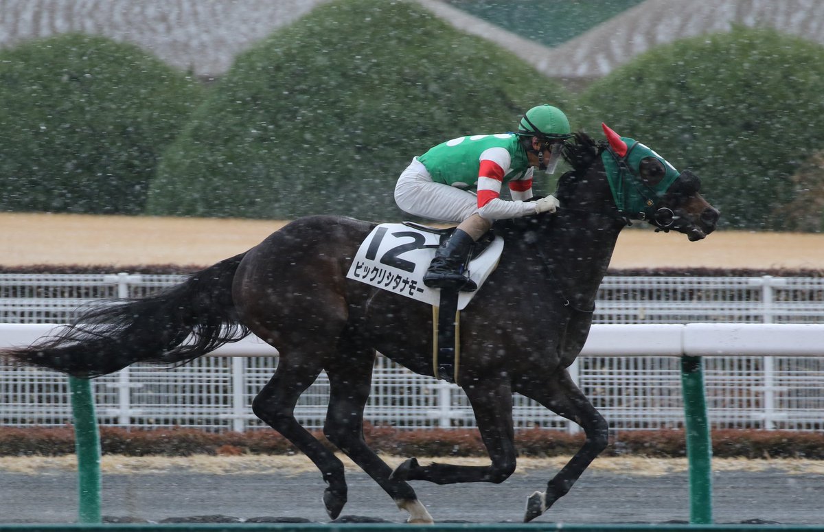 大雪の競馬中継で馬の気持ちと名前がフィットしすぎ しかも1着でゴールしてビックリシタナモー Togetter