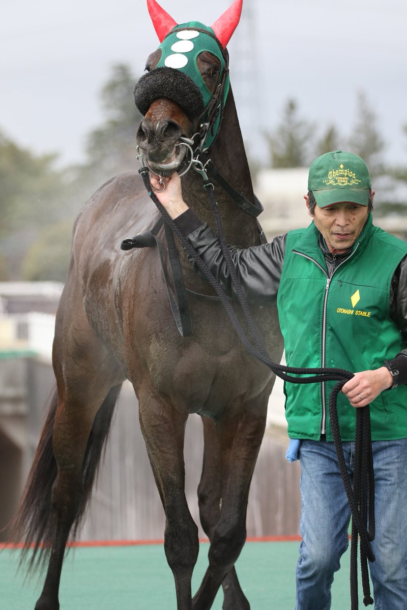 大雪の競馬中継で馬の気持ちと名前がフィットしすぎ しかも1着でゴールしてビックリシタナモー Togetter
