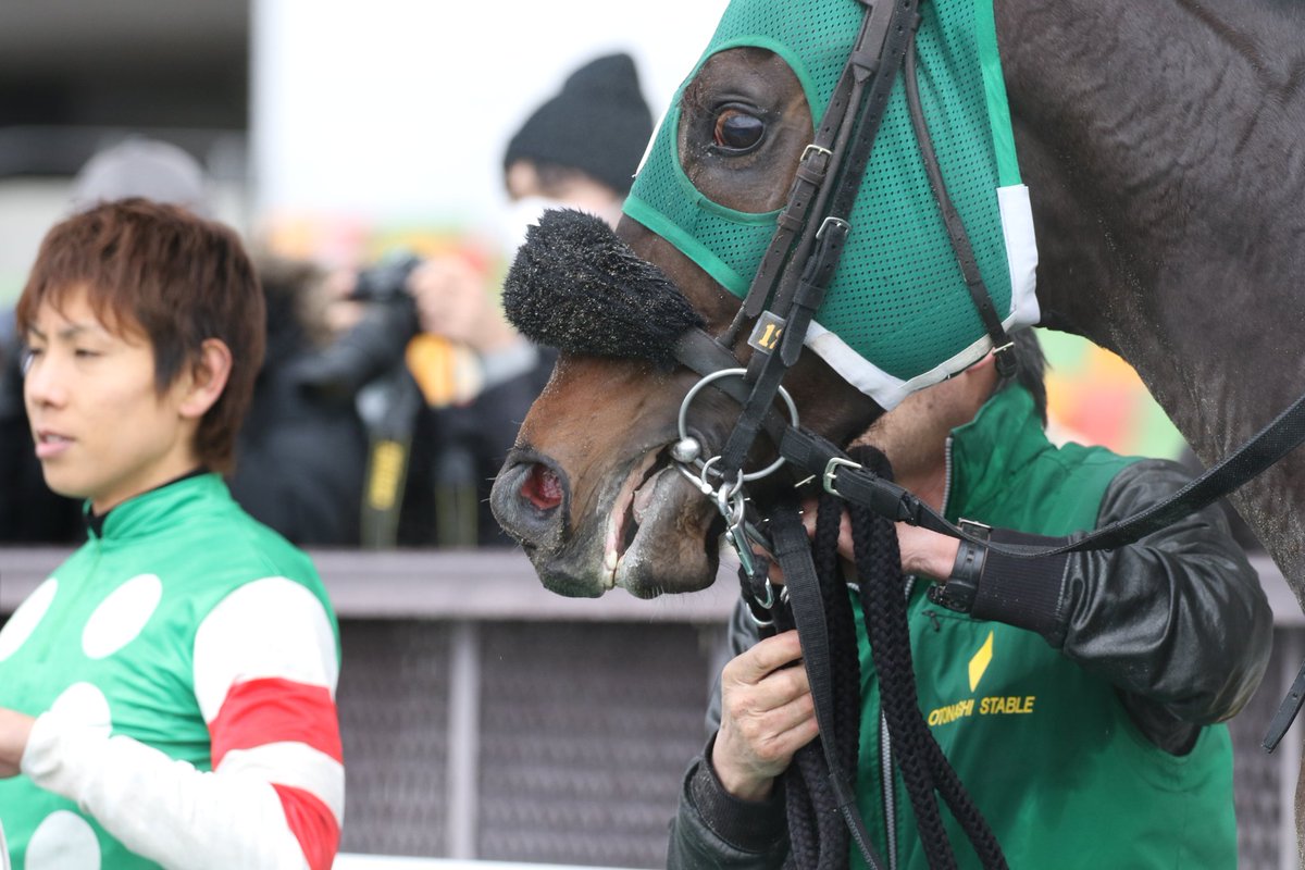 大雪の競馬中継で馬の気持ちと名前がフィットしすぎ しかも1着でゴールしてビックリシタナモー Togetter