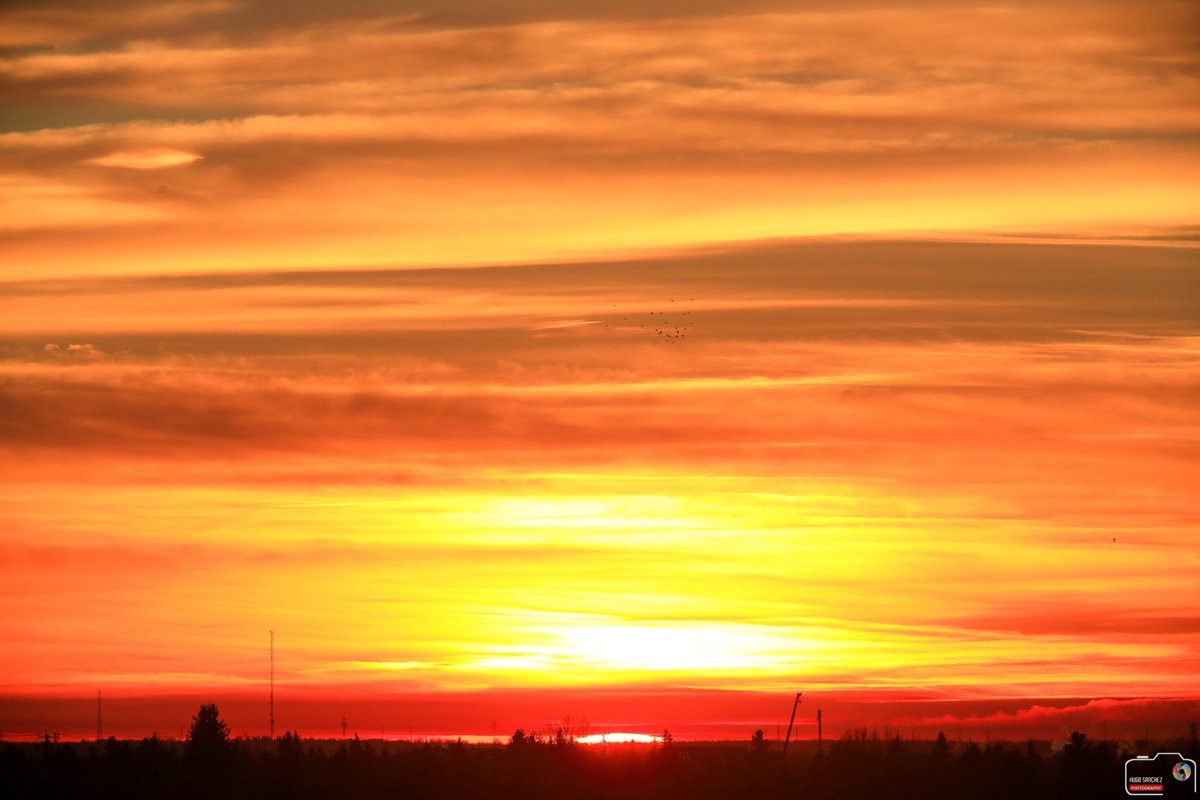 YEGHugo's tweet photo. #yeg #canada150 #sunset #countdown12 #exploreedmonton #explorecanada #travelalberta #sun #albertaskies #clouds #coolsky https://t.co/RNjggl21gk