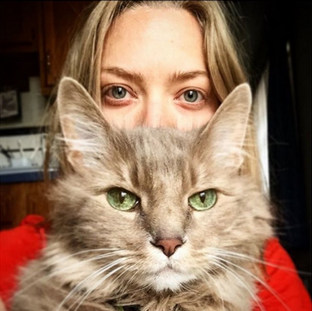 "Found this little guy and decided to take him in. Now, what to name him..."