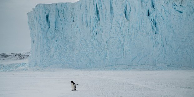 AntarcticReport's tweet photo. Visiting Barne Glacier on eve of Scott Base 60th birthday @damianchristie https://t.co/GBYEkVrlu0 @nzherald @AntarcticaNZ @DeepSouth_NZ https://t.co/guYg67hjQt