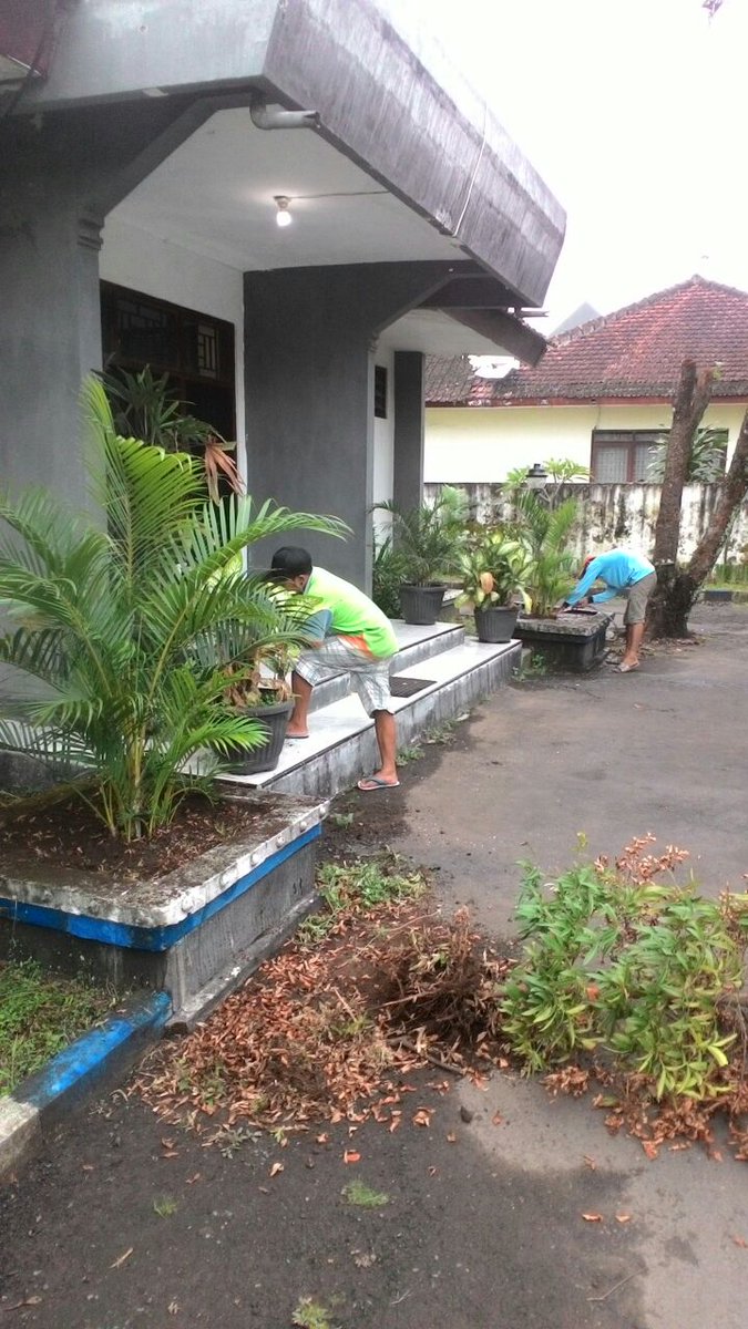 bwangiberkebun's tweet photo. Dinas baru @dpubmcktr_bwi @banyuwangi_kab @IDberkebun semangat baru buat Kota Hijau @ir_mujiono @a_azwarnas https://t.co/IUz3F4kZfb