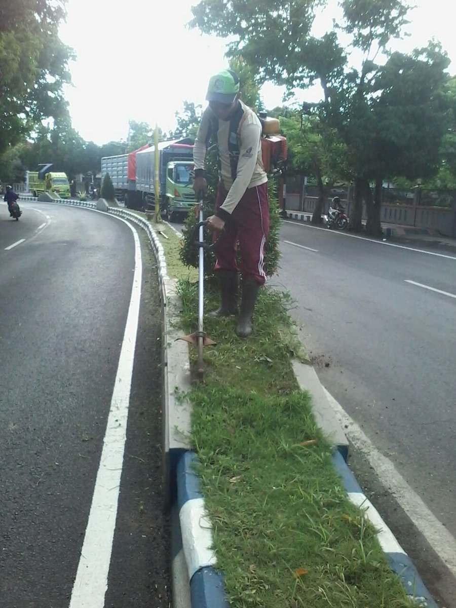 bwangiberkebun's tweet photo. Dinas baru @dpubmcktr_bwi @banyuwangi_kab @IDberkebun semangat baru buat Kota Hijau @ir_mujiono @a_azwarnas https://t.co/IUz3F4kZfb