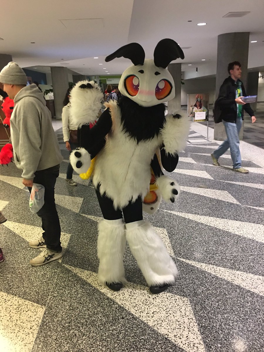 KawaiiMothra's tweet photo. *trying to be cute*... PUT ME BACK IN THE MOTH SUIT!! I FEEL NAKED WITH OUT HER!!
#FC2017 #moth #mothsuit #Dust #FursuitFriday https://t.co/UOZzB60QH8