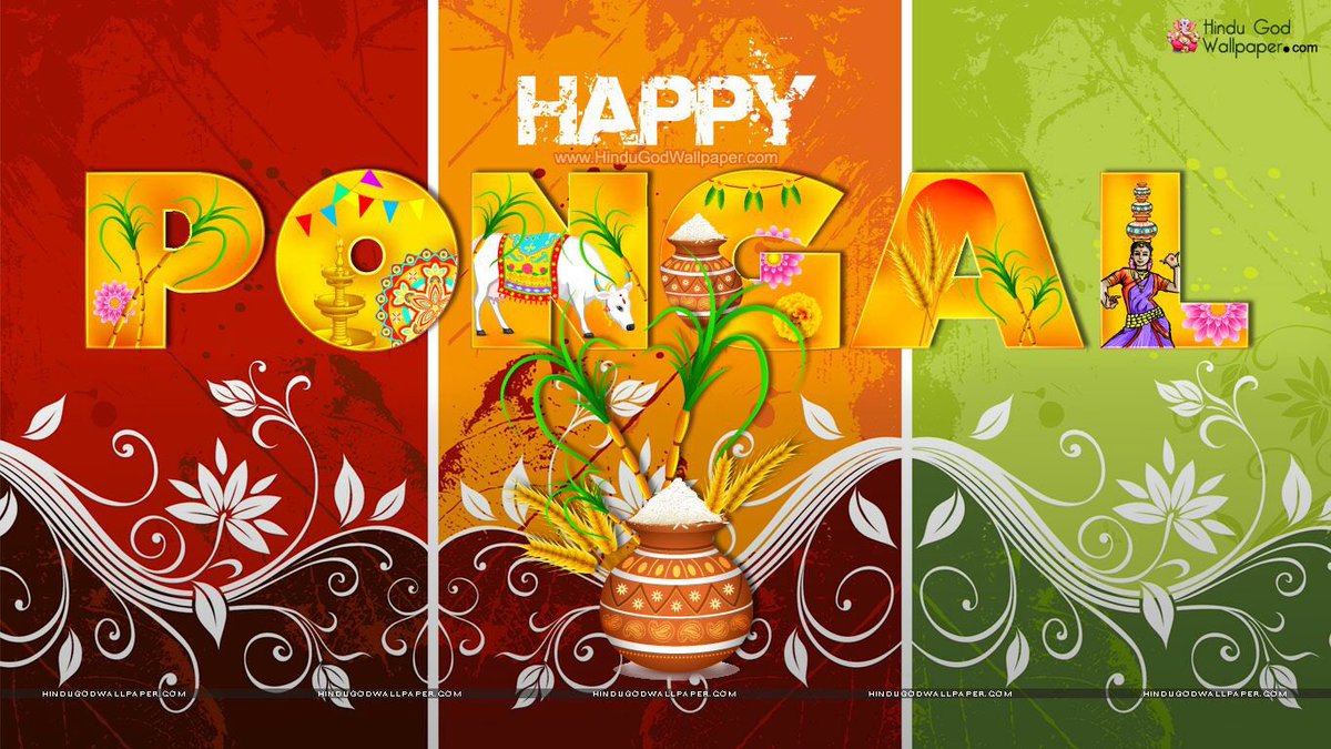 rp_icg's tweet photo. Happy Pongal to all our Hindu friends! Have a blessed day and celebrations. 🎉👨‍👩‍👦‍👦🌞🐄🌅❤️ https://t.co/OPumU7Tmmi