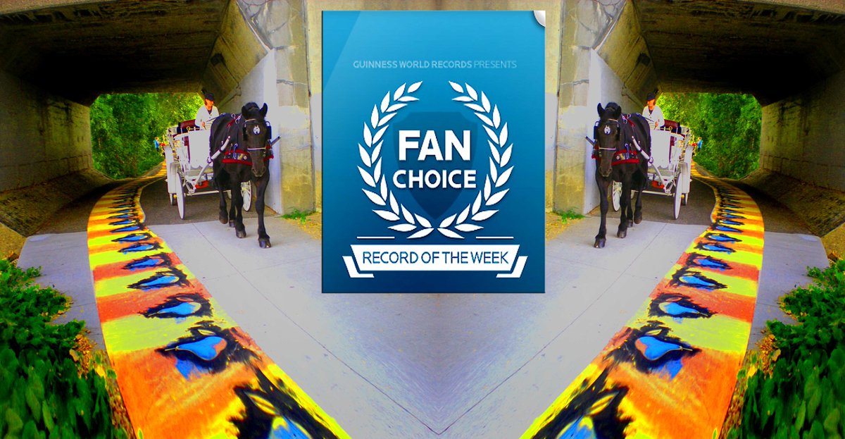 LongestPainting's tweet photo. worlds longest painting in fans choice of the week
https://t.co/RMr42ps2Et https://t.co/hYsSQ3myiR