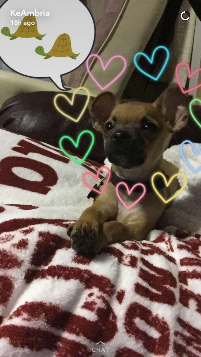 Macie.🤷🏽♀️ tweet media