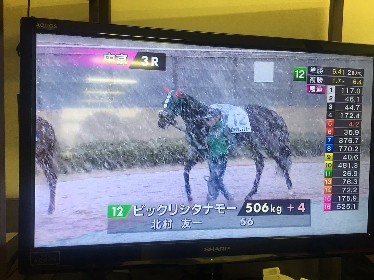 大雪の競馬中継で馬の気持ちと名前がフィットしすぎ しかも1着でゴールしてビックリシタナモー Togetter