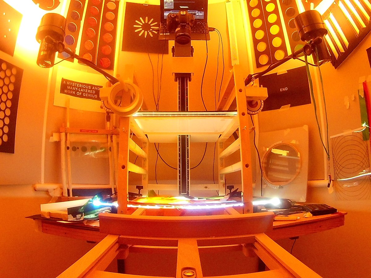 Borbonesa tweet media