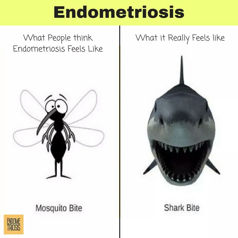 This is exactly how I feel at the min, I feel like a shark is ripping all my insides out!!