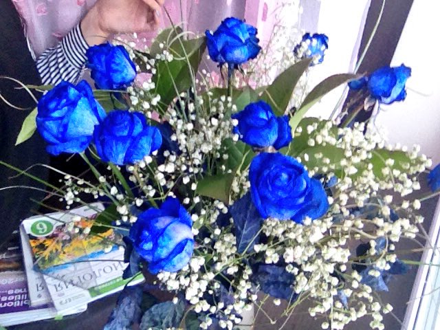 nvschnko's tweet photo. Ну я же девочка https://t.co/TJ9kGFmGcx