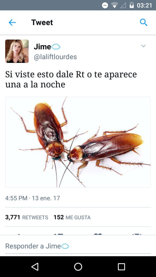 _gnatalia's tweet photo. NO LE DI RT AL COSO DE LA CUCARACHA Y ME APARECIO UNA, QUIERO LLORARRR https://t.co/WOlmwhflDh