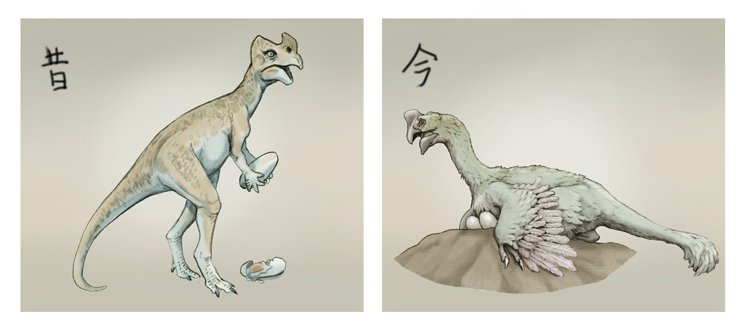 O Xrhsths 川崎悟司 Sto Twitter オビラプトルの昔の復元と今の復元 オビラプトルとは卵泥棒という意味でかつては卵 を主食とする恐竜と知られたが その後その卵の中身はオビラプトルの胎児であることが発覚し 鳥のように抱卵することがわかった 卵泥棒の汚名をきせ O Xrhsths 川崎悟司 Sto Twitter オビラプトルの昔の復元と今の復元 オビラプトルとは卵泥棒という意味でかつては卵 を主食とする恐竜と知られたが その後その卵の中身はオビラプトルの胎児であることが発覚し 鳥のように抱卵することがわかった 卵泥棒の汚名をきせ