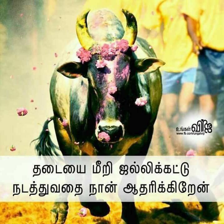 RMuthukumaraku1's tweet photo. #NewProfilePic https://t.co/5iFPUwqDoA