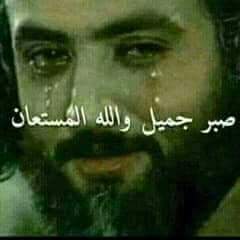 SayedFathe1's tweet image. 