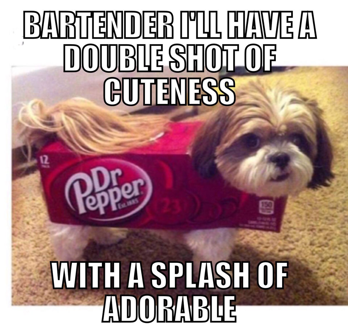 KirkSinnamin's tweet photo. Hi @ZacharyMitch! This rascal reminds me of L'il Buckaroo! https://t.co/3QoZiJqUWP