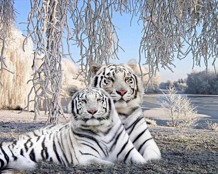 sushilpershad's tweet photo. @StefanodocSM @MarionSpekker https://t.co/9fv70RZ1Y2