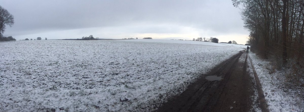 Youri Keulen tweet media