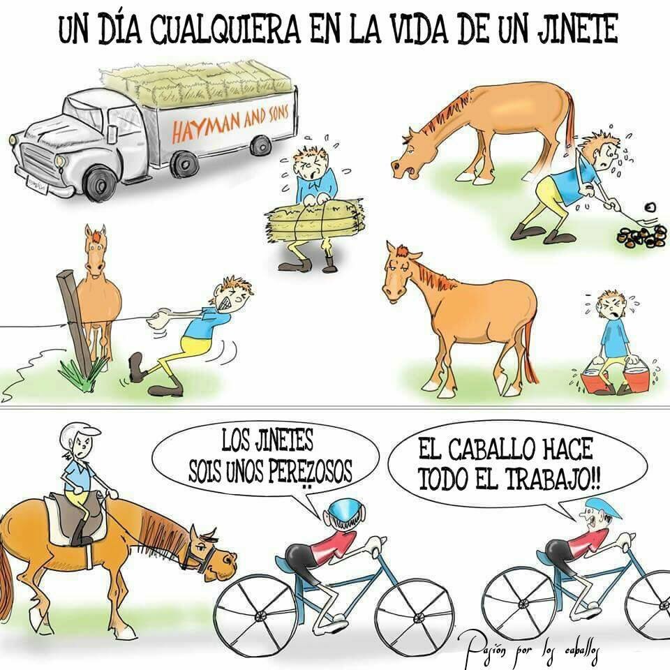 Hipicashelly's tweet image. A veces es la ignorancia la q habla... feliz finde